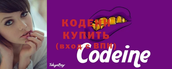 спиды Корсаков