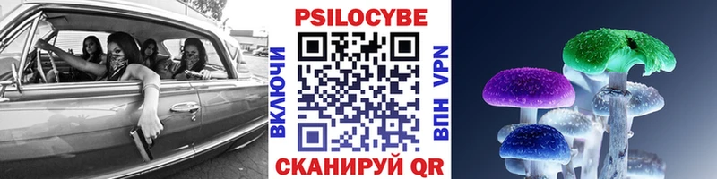 Псилоцибиновые грибы GOLDEN TEACHER  хочу наркоту  ОМГ ОМГ зеркало  Котово 