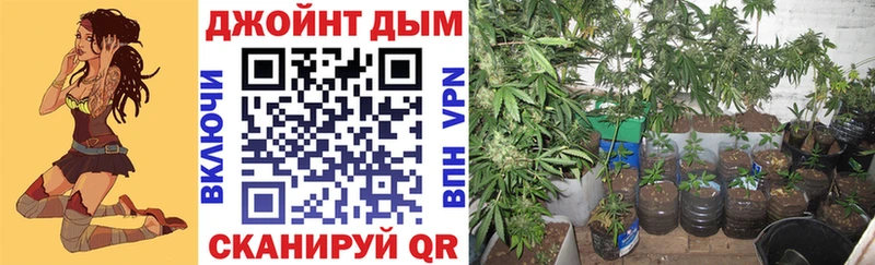 Бошки Шишки VHQ  продажа наркотиков  Котово 